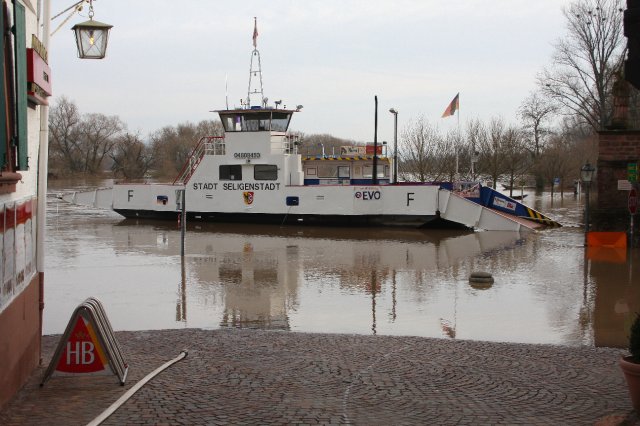 Hochwasser Seligenstadt 18.01.2011 017.JPG